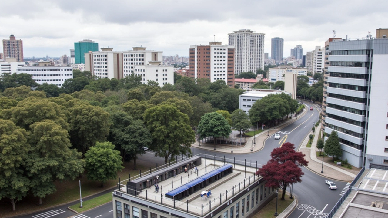 Curitiba enfrenta temperaturas congelantes marcando início da semana